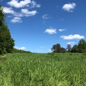 Meet your Posher, Kellie